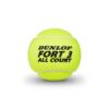 PALLINE TENNIS - D TB FORT ALL COURT TS