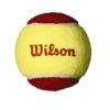 PALLINE TENNIS - STARTER RED TBALL 36 PACK