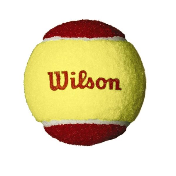 PALLINE TENNIS - STARTER RED TBALL 36 PACK
