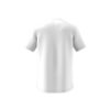 MAGLIETTA UOMO - CLUB TEE