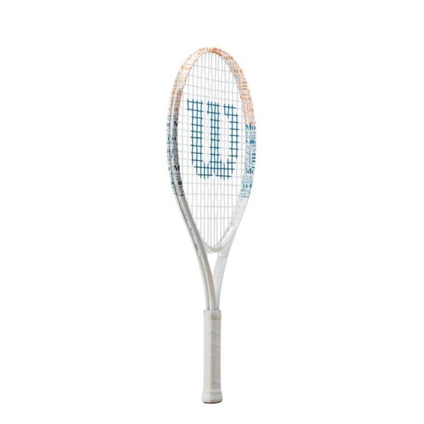 RACCHETTA - ROLAND GARROS ELITE 25