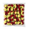 PALLINE TENNIS - STARTER RED TBALL 36 PACK