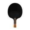RACCHETTA PING PONG - EVOLUTION 1000