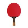 RACCHETTA PING PONG - EVOLUTION 1000