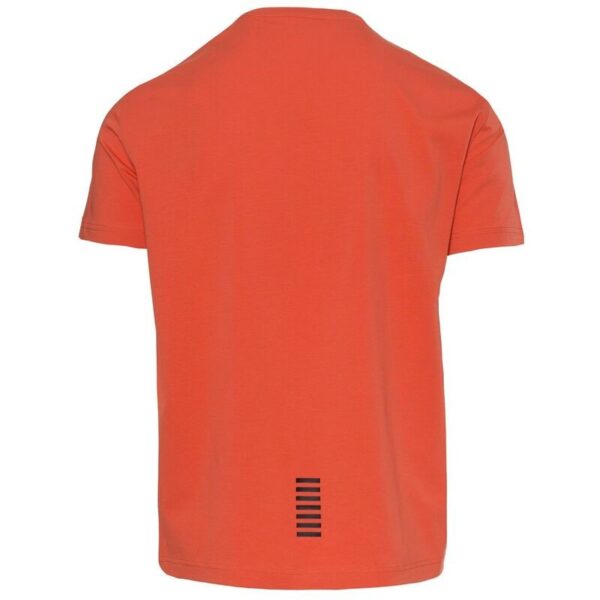 MAGLIETTA UOMO - JERSEY T-SHIRT