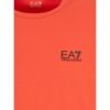 MAGLIETTA UOMO - JERSEY T-SHIRT