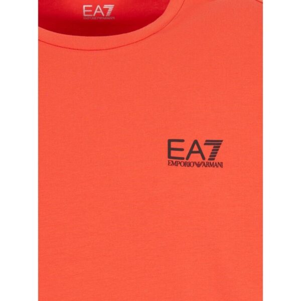 MAGLIETTA UOMO - JERSEY T-SHIRT