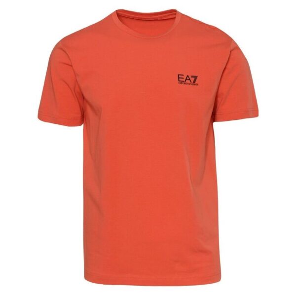 MAGLIETTA UOMO - JERSEY T-SHIRT