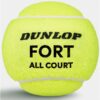 PALLINE TENNIS - FORT ALL COURT 4PET