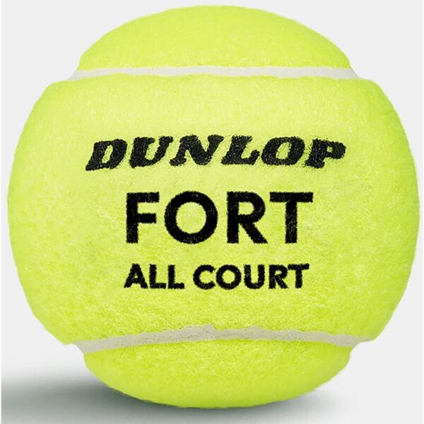 PALLINE TENNIS - FORT ALL COURT 4PET