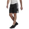 59294FCAC52113AB1DAEB5B986D671D9_ PANTALONCINO UOMO - DT SHORTS