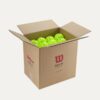 PALLINE PICKLEBALL - MAX 40 OUTDOOR